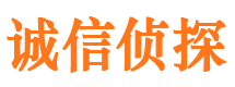 城北侦探公司